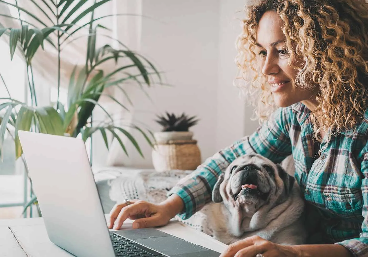 Profesional gestionando encuestas por email