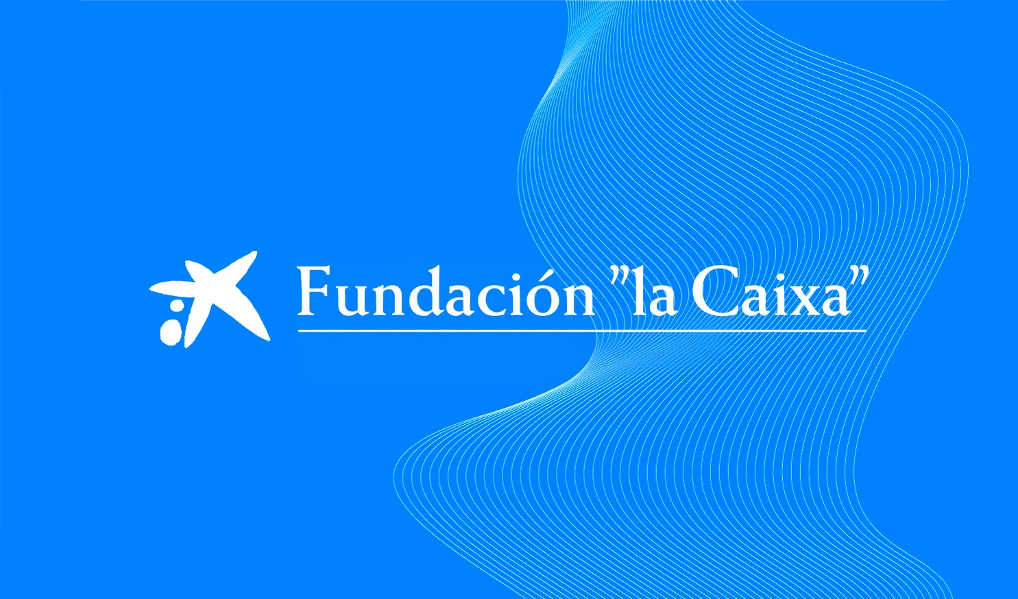 Caso Fundación La Caixa